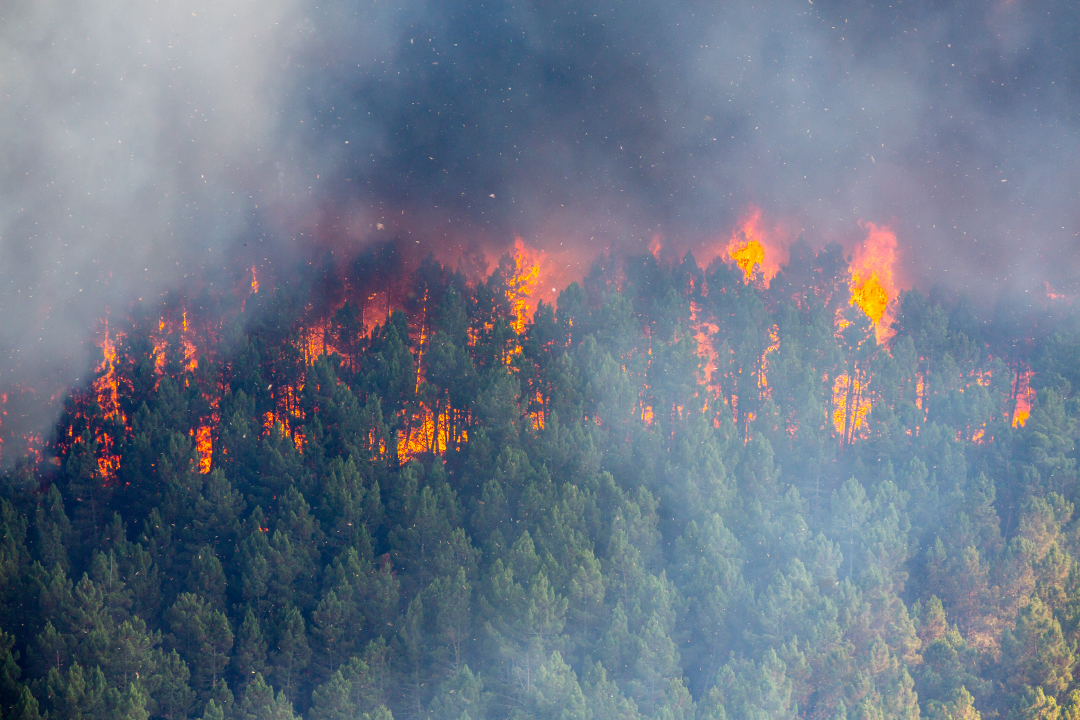 Caring for workers affected by climate change